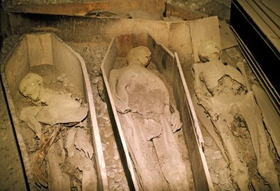 Mummified Bodies by Unbekannt Unbekannt